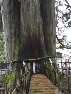 戸隠神社中社のその他建物