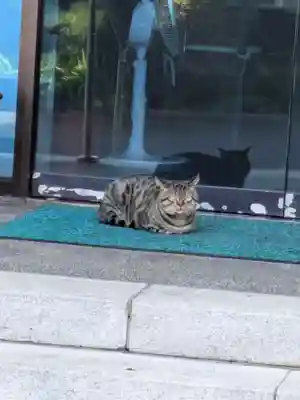 宗善寺(東京都)