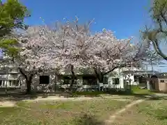 姫嶋神社(大阪府)