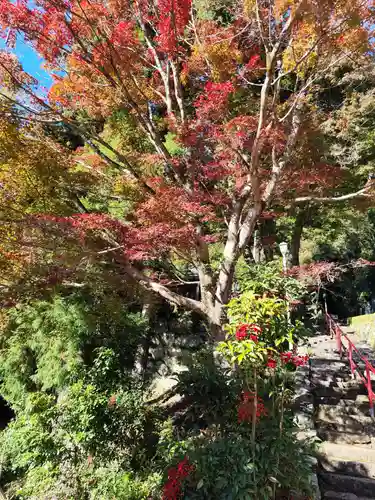 神峯寺(高知県)