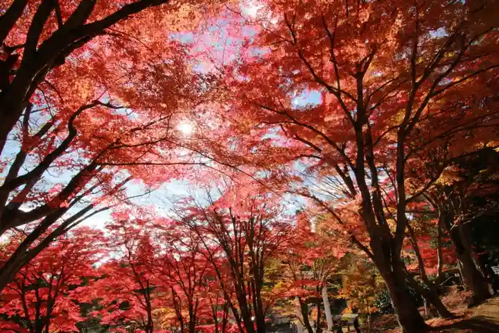 土津神社|こどもと出世の神さまの自然