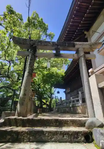 總鎮守八幡神社(愛媛県)