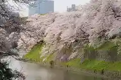 靖國神社の景色