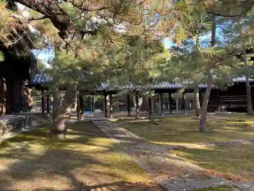 大徳寺(京都府)