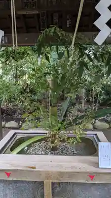 赤坂氷川神社(東京都)