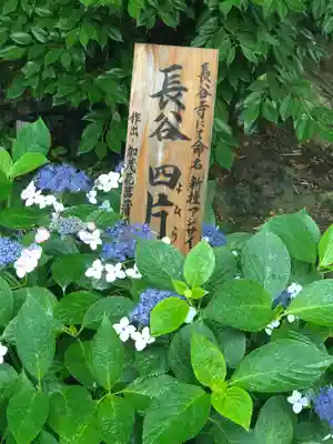 長谷寺(神奈川県)