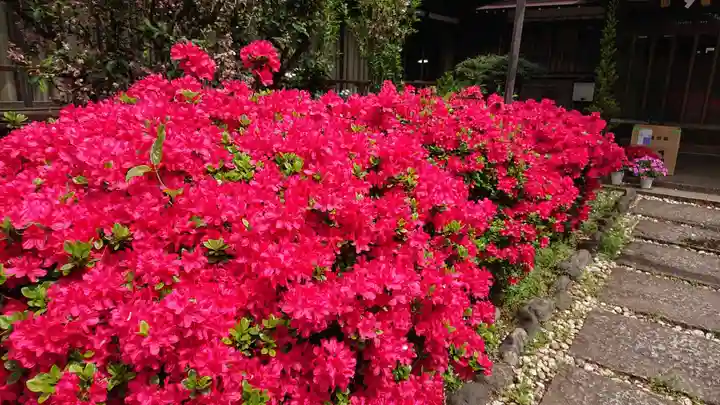 本郷氷川神社の庭園