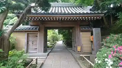 報国寺(神奈川県)