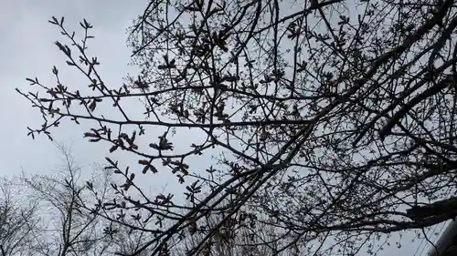 神居神社遥拝所の自然