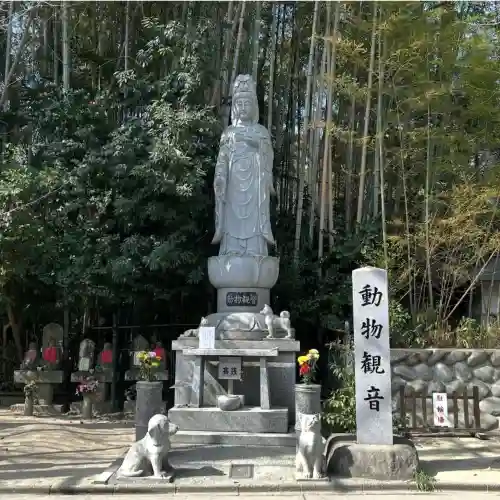 長楽寺の{uncategorized: "未分類", other: "その他", undefined: "問題あり", building: "その他建物", grave: "お墓", sacred_gate: "鳥居", guardian: "狛犬", statue: "像", buddha: "仏像", history: "歴史", nature: "自然", garden: "庭園", animal: "動物", pagoda: "塔", temizu: "手水舎", mountain_gate: "山門・神門", sanctuary: "本殿・本堂", subordinate: "末社・摂社", art: "芸術", scenery: "景色", jizo: "地蔵", ema: "絵馬", goshuin: "御朱印", omikuji: "おみくじ", items: "授与品その他", amulet: "お守り", goshuincho: "御朱印帳", eats: "食事", festival: "お祭り", votive_dance: "神楽", shichigosan: "七五三参", wedding: "結婚式", experience: "体験その他", initially: "初詣", around: "周辺", anti_infection: "感染症対策"}