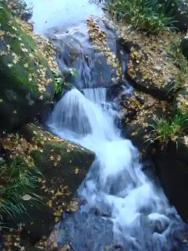 成田山新勝寺の自然
