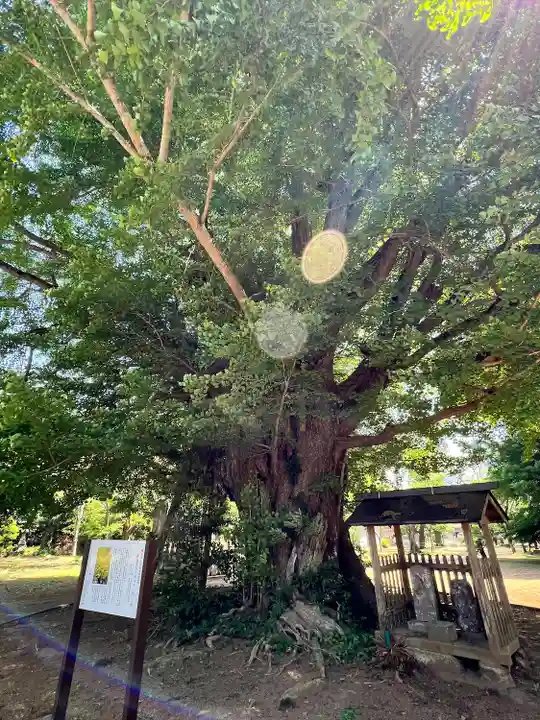 西蓮寺(茨城県)