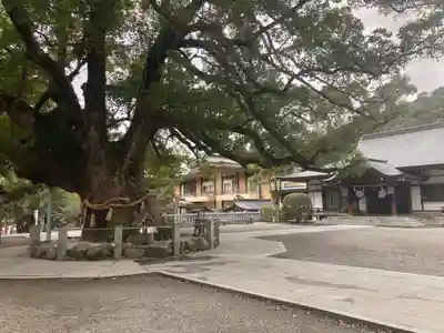 大麻比古神社(徳島県)