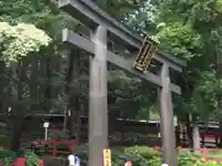 日光二荒山神社の鳥居