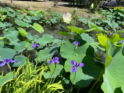 雲龍山 本證寺(愛知県)