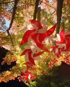 滑川神社 - 仕事と子どもの守り神の景色(2023年11月18日(土) 09時01分14秒投稿)