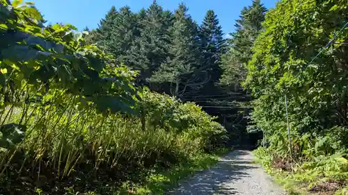 月浦八幡神社の自然