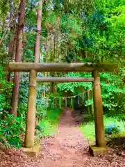 鹿島神社(茨城県)