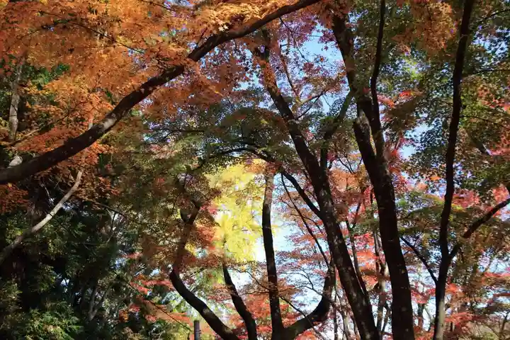 三春大神宮の自然