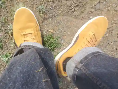 矢部城跡八幡宮(群馬県)