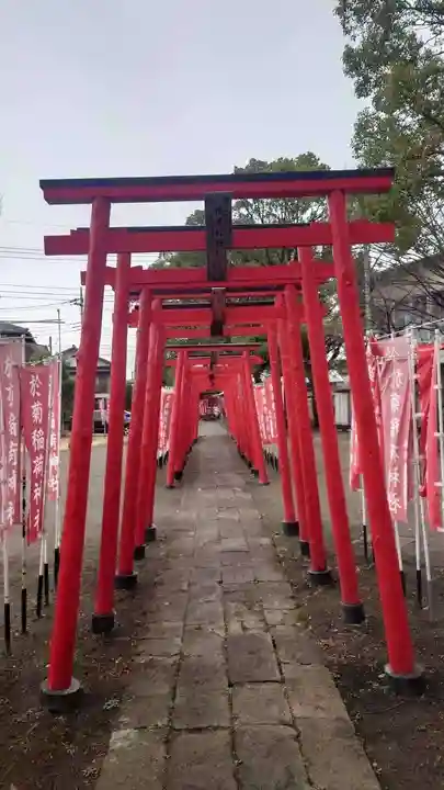 於菊稲荷神社(群馬県)