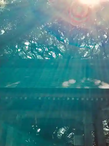 猿田神社のその他建物
