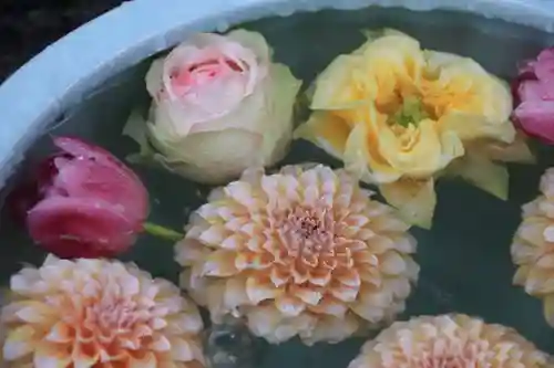 開成山大神宮の手水舎