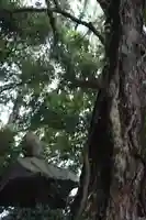 阿上三所神社(京都府)