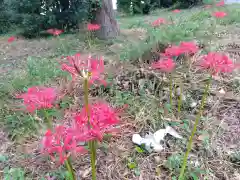 御前神社(福井県)