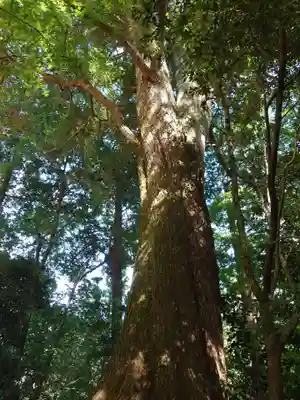 安勝院（岩谷観音）(愛知県)