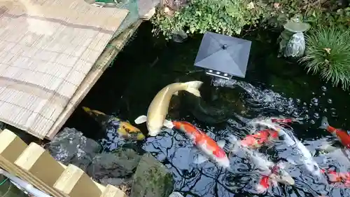 吉原弁財天本宮（吉原神社奥宮）の庭園