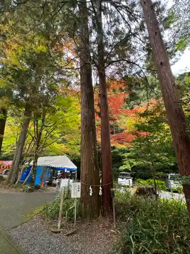 大矢田神社(岐阜県)