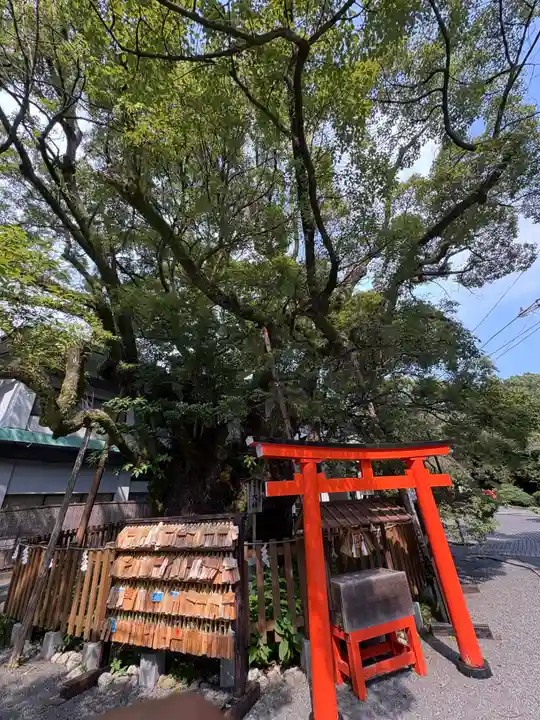 富知六所浅間神社(静岡県)