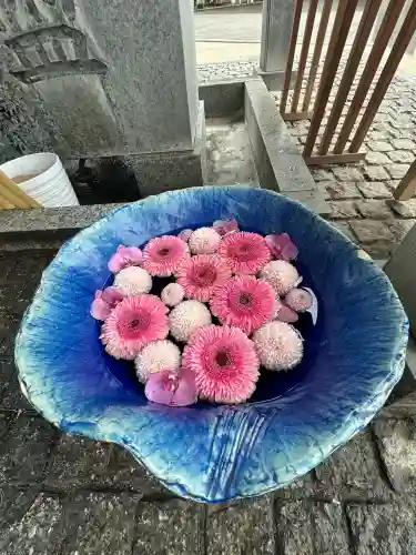 川越八幡宮(埼玉県)