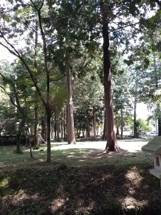 柏木神社の周辺