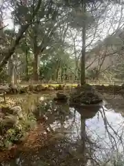 聖寳寺の庭園