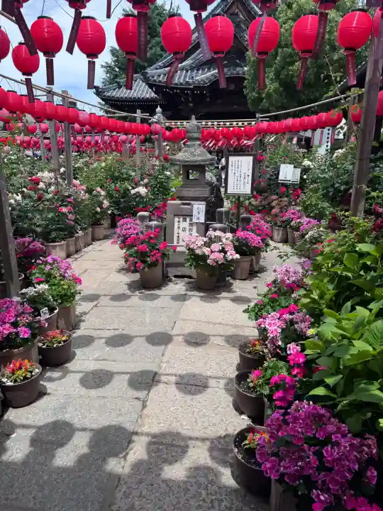 おふさ観音(観音寺)の{uncategorized: "未分類", other: "その他", undefined: "問題あり", building: "その他建物", grave: "お墓", sacred_gate: "鳥居", guardian: "狛犬", statue: "像", buddha: "仏像", history: "歴史", nature: "自然", garden: "庭園", animal: "動物", pagoda: "塔", temizu: "手水舎", mountain_gate: "山門・神門", sanctuary: "本殿・本堂", subordinate: "末社・摂社", art: "芸術", scenery: "景色", jizo: "地蔵", ema: "絵馬", goshuin: "御朱印", omikuji: "おみくじ", items: "授与品その他", amulet: "お守り", goshuincho: "御朱印帳", eats: "食事", festival: "お祭り", votive_dance: "神楽", shichigosan: "七五三参", wedding: "結婚式", experience: "体験その他", initially: "初詣", around: "周辺", anti_infection: "感染症対策"}
