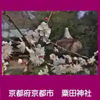 粟田神社の自然