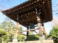 豪徳寺の建物その他