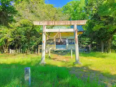 神明社(西堀江神明社)の鳥居