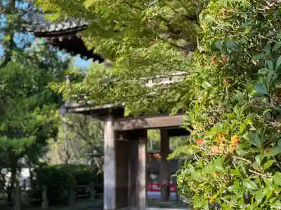 伊勢の国 四天王寺の山門・神門