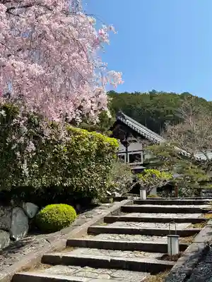 圓光寺のその他建物