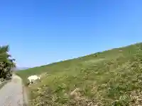 心鏡寺の{uncategorized: "未分類", other: "その他", undefined: "問題あり", building: "その他建物", grave: "お墓", sacred_gate: "鳥居", guardian: "狛犬", statue: "像", buddha: "仏像", history: "歴史", nature: "自然", garden: "庭園", animal: "動物", pagoda: "塔", temizu: "手水舎", mountain_gate: "山門・神門", sanctuary: "本殿・本堂", subordinate: "末社・摂社", art: "芸術", scenery: "景色", jizo: "地蔵", ema: "絵馬", goshuin: "御朱印", omikuji: "おみくじ", items: "授与品その他", amulet: "お守り", goshuincho: "御朱印帳", eats: "食事", festival: "お祭り", votive_dance: "神楽", shichigosan: "七五三参", wedding: "結婚式", experience: "体験その他", initially: "初詣", around: "周辺", anti_infection: "感染症対策"}