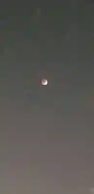 葛飾氷川神社(東京都)