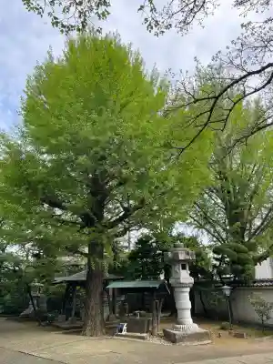 圓蔵寺の{uncategorized: "未分類", other: "その他", undefined: "問題あり", building: "その他建物", grave: "お墓", sacred_gate: "鳥居", guardian: "狛犬", statue: "像", buddha: "仏像", history: "歴史", nature: "自然", garden: "庭園", animal: "動物", pagoda: "塔", temizu: "手水舎", mountain_gate: "山門・神門", sanctuary: "本殿・本堂", subordinate: "末社・摂社", art: "芸術", scenery: "景色", jizo: "地蔵", ema: "絵馬", goshuin: "御朱印", omikuji: "おみくじ", items: "授与品その他", amulet: "お守り", goshuincho: "御朱印帳", eats: "食事", festival: "お祭り", votive_dance: "神楽", shichigosan: "七五三参", wedding: "結婚式", experience: "体験その他", initially: "初詣", around: "周辺", anti_infection: "感染症対策"}