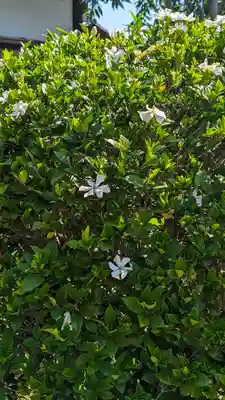 東林院(京都府)