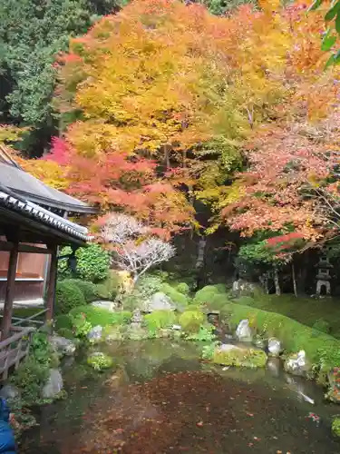 寂光院の庭園