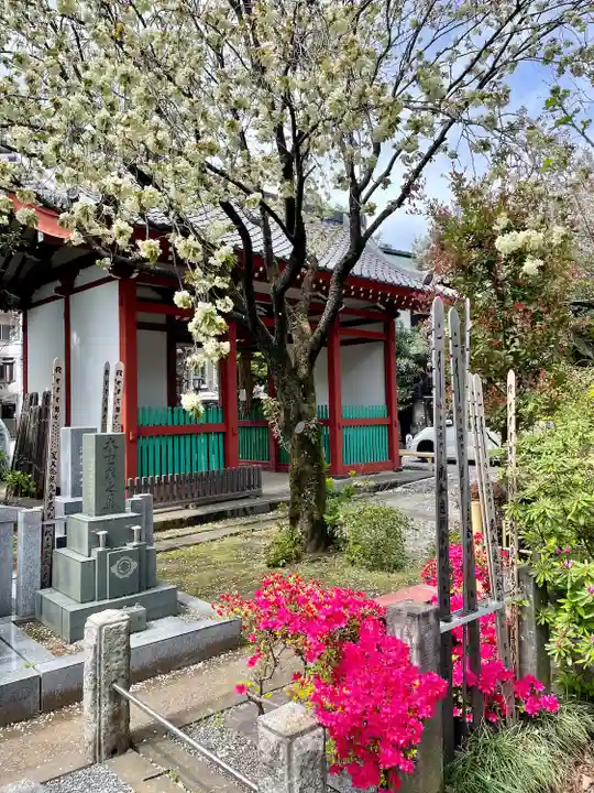 養福寺(東京都)