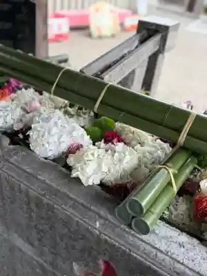 草加神社(埼玉県)