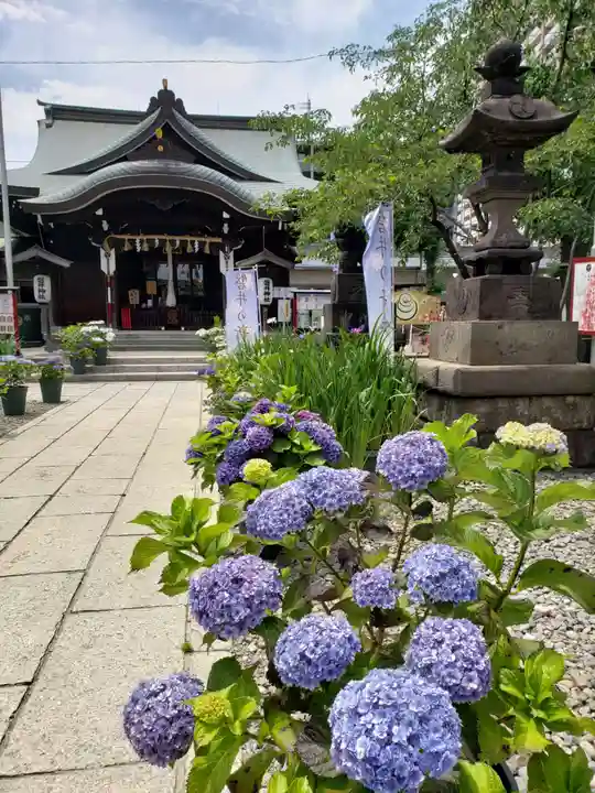 磐井神社(東京都)